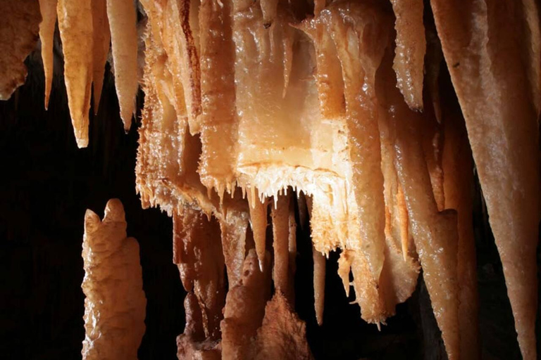 Castellana Grottoes: Official Guided Tour with Entry Ticket Castellana Grottoes: Full Tour in Italian