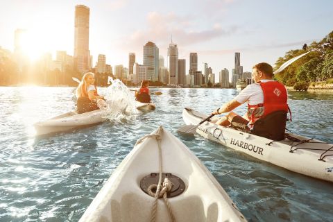Brisbane: Guided River Kayak Tour
