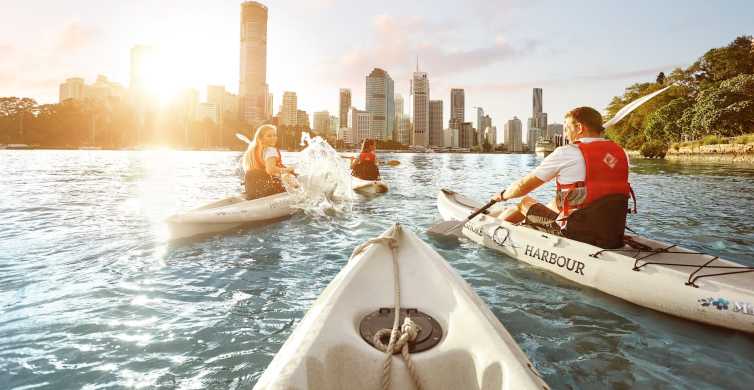 Brisbane Guided River Kayak Tour