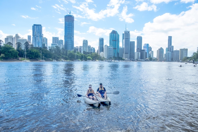 Brisbane: visite guidée en kayak de rivière