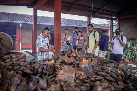 Oaxaca: Excursão à destilaria de mezcal com degustações