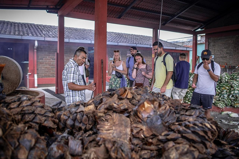 Oaxaca : Visite d&#039;une distillerie de mezcal avec dégustations