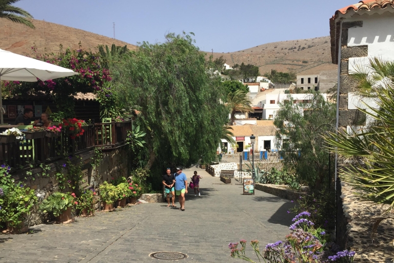 From Lanzarote: Fuerteventura Day Trip Standard Option