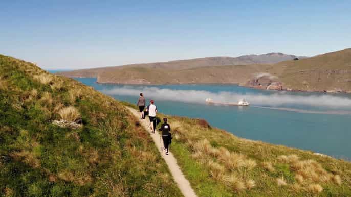 christchurch halfday crater rim walk with local guide