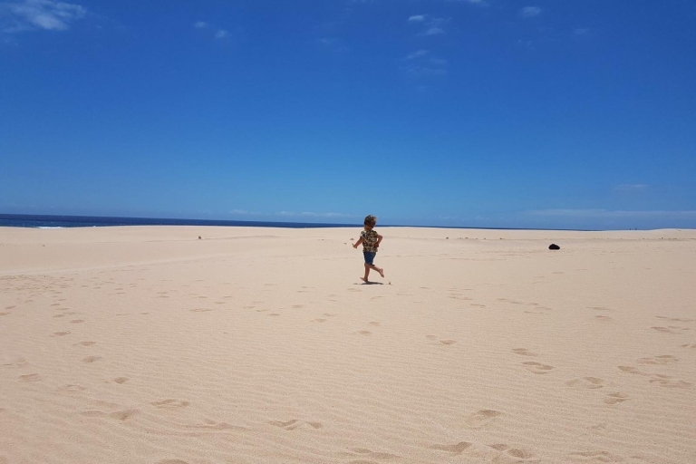 Depuis Lanzarote : excursion d'une journée à FuerteventuraOption standard