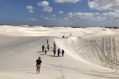 West Coast National Park 1-Day Guided Tour