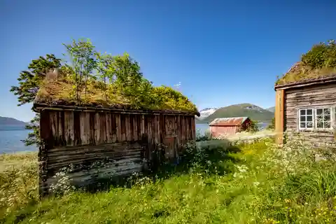 Tromsø: Summer Fjord Road Trip with Citizen Science