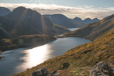 Tromsø: Summer Day Hike in the Wilderness Tromsø: Summer Day Hike in the wilderness