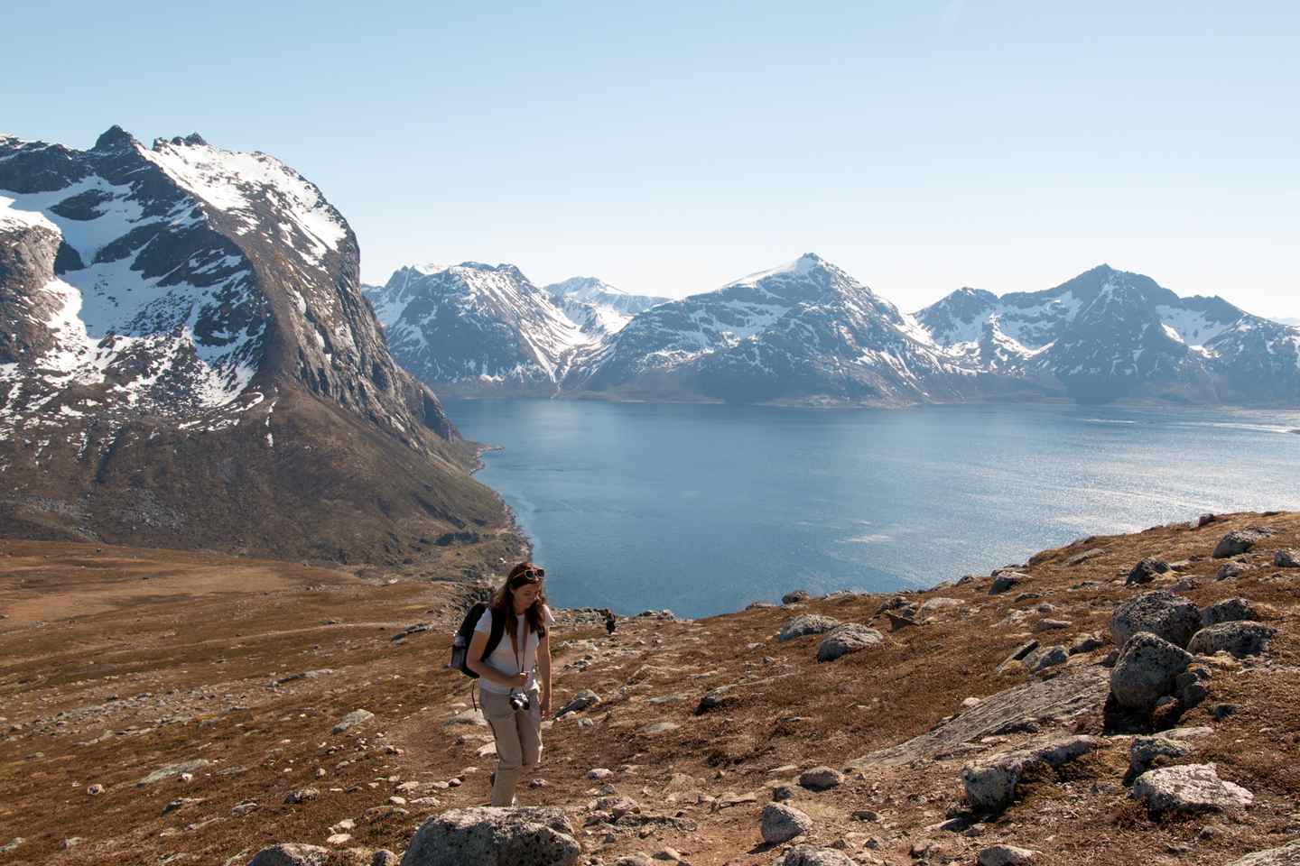 Tromsø: Summer Day Hike in the wilderness