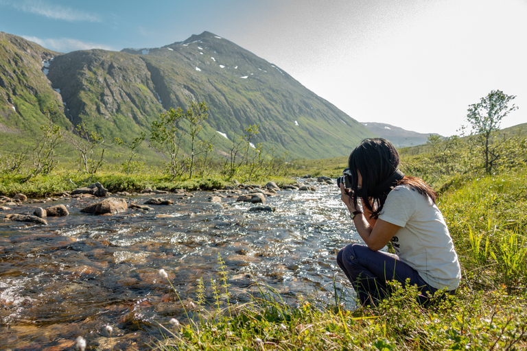 Tromsø: Summer Day Hike in the Wilderness Tromsø: Summer Day Hike in the wilderness