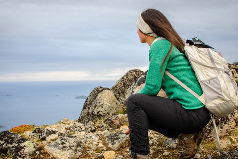 Tromsø: Summer Day Hike in the Wilderness Tromsø: Summer Day Hike in the wilderness