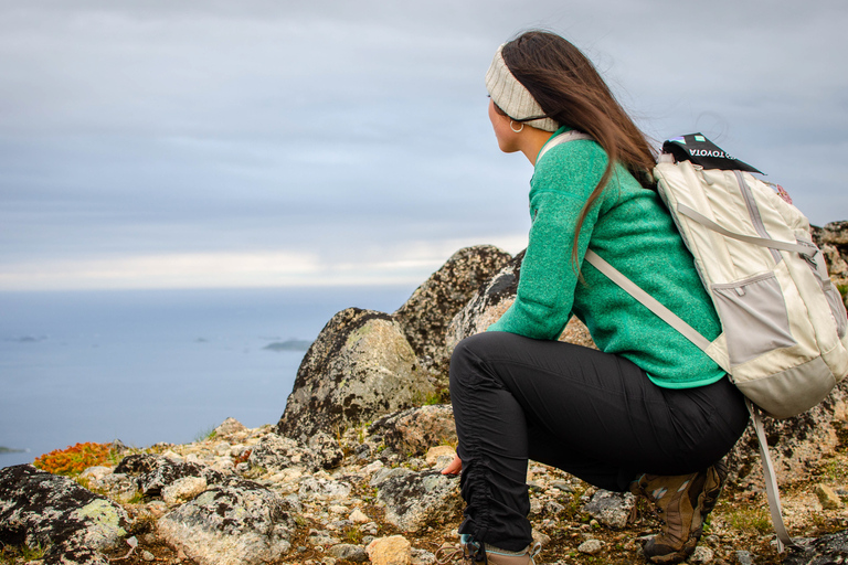 Tromsø: Summer Day Hike in the Wilderness Tromsø: Summer Day Hike in the wilderness