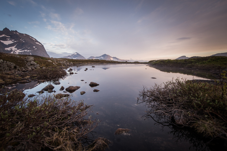 Tromsø: Midnight Sun Hike in the wilderness
