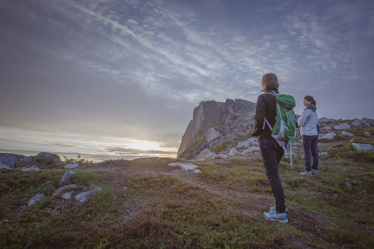 Tromsø: Midnight Sun Hike in the wilderness