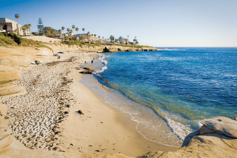 La Jolla Free fall Electric Bike Tour