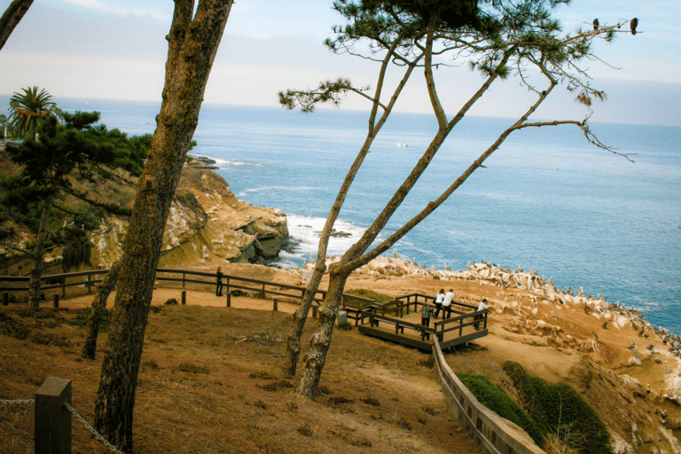 La Jolla Free fall Electric Bike Tour