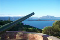 Famous Local Green Train (01h30) in Nouméa - Housity