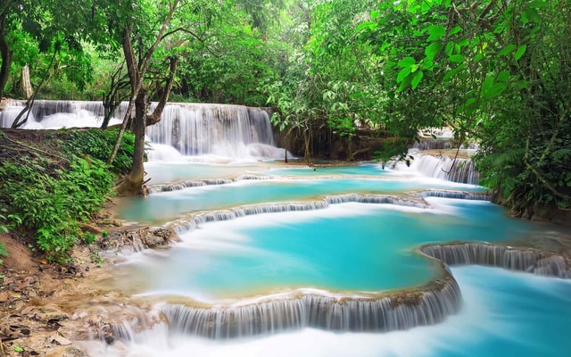 Luang Prabang: Local Village & Kuang Si Falls Private Tour