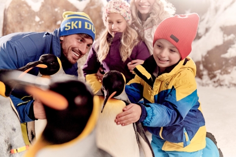 Ski Dubai: atracciones ilimitadas con Snow Classic PassSki Dubai: Snow Classic Pass de día completo