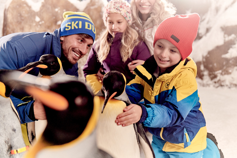 Ski Dubai Snow Classic Pass: Unlimited Rides in Snow Park Ski Dubai Full-Day Snow Classic