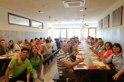 Desde Florencia: Pisa, Siena y San Gimignano con almuerzoGrupo completo en francés con almuerzo