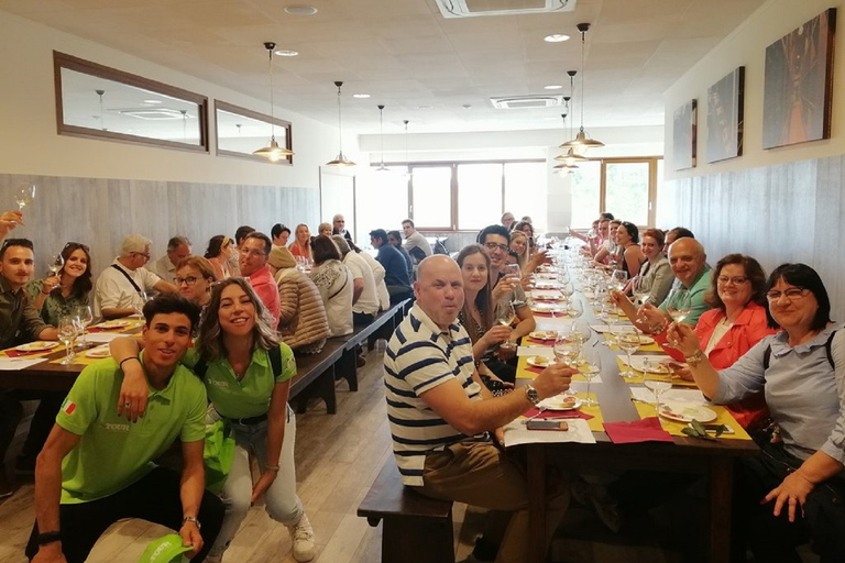 Desde Florencia: Pisa, Siena y San Gimignano con almuerzoGrupo completo en francés con almuerzo