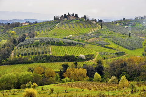 Florence: Pisa, Siena and San Gimignano Day Trip with LunchTour in Italian with Lunch