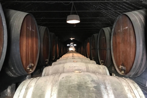 Van Lissabon: Azeitão-wijnkelder en proeverij van etenLissabon: rondleiding door de wijnkelder