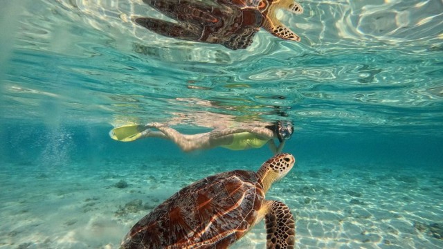 Visit Gili Meno Private Snorkeling Trips with GoPro Footage in Gili Meno, Indonesia
