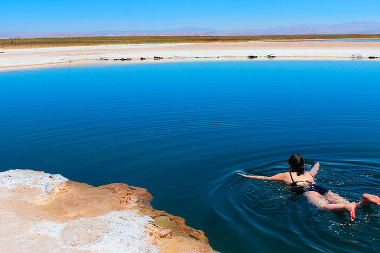 Desierto de Atacama: Refrescante Flotación en Laguna Cejar y Puesta de Sol