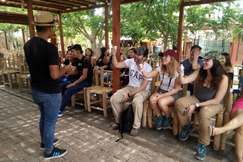 Lima: tour privato delle Isole Ballestas, dell&#039;azienda vinicola e delle Linee di NazcaLima: tour privato delle isole Ballestas, della cantina e delle linee di Nazca