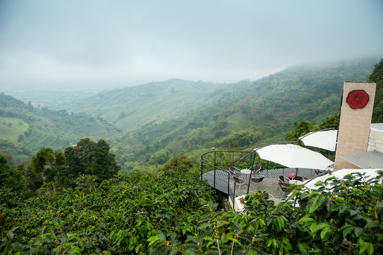 Coffee Tour in Fusagasugá from Bogotá with Lunch Shared service with English guide