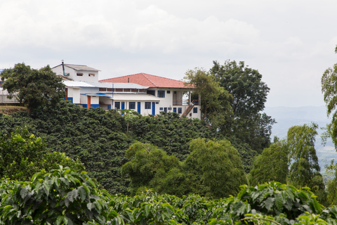 Coffee Tour in Fusagasugá from Bogotá with Lunch Shared service with English guide