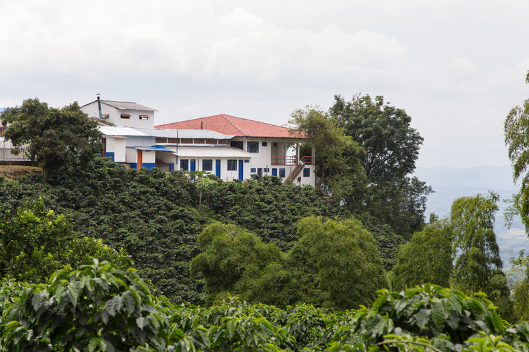 Coffee Tour in Fusagasugá from Bogotá with Lunch Shared service with English guide