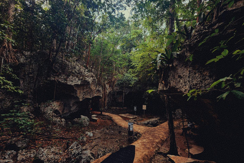 Visita y transporte a las cuevas de la Gruta VerdeDesde Grand Palladium/ Lady Hamilton