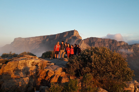 Cape Town: Lion's Head Sunrise or Sunset Hike Sunrise or Sunset Hike with Drop-Off