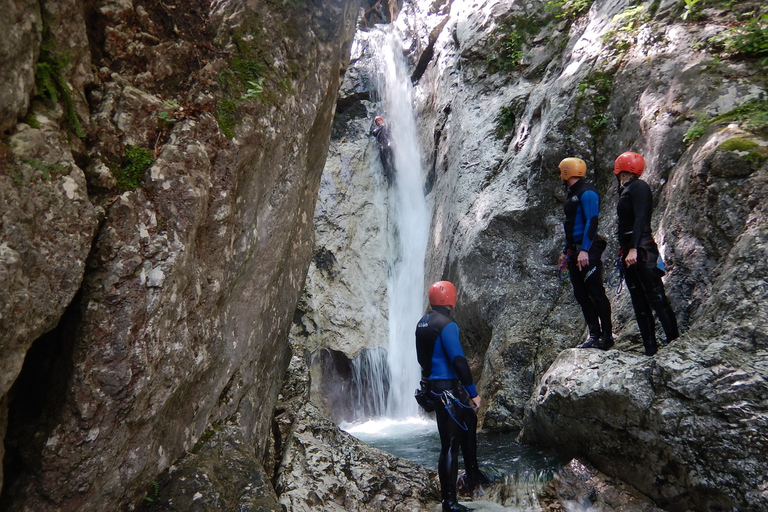 Bovec: Excitante passeio de canyoning no desfiladeiro de SušecBovec: Emocionante Canyoning Tour em Sušec Canyon