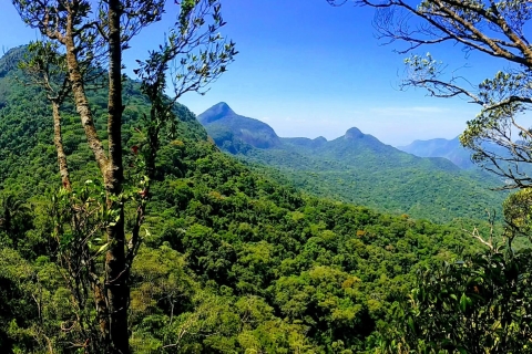 Tijuca Forest Adventure Full-Day Small Group Hike Tijuca Adventure Hike - Private