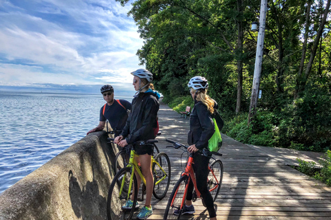 Toronto: Recorrido panorámico de 3 horas en bicicleta con guíaExcursión de 3 horas en bicicleta: Puerto, Isla y Destilería Histórica