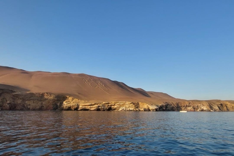 From TPP Paracas: Islands Tours & Paracas Natural Reserve