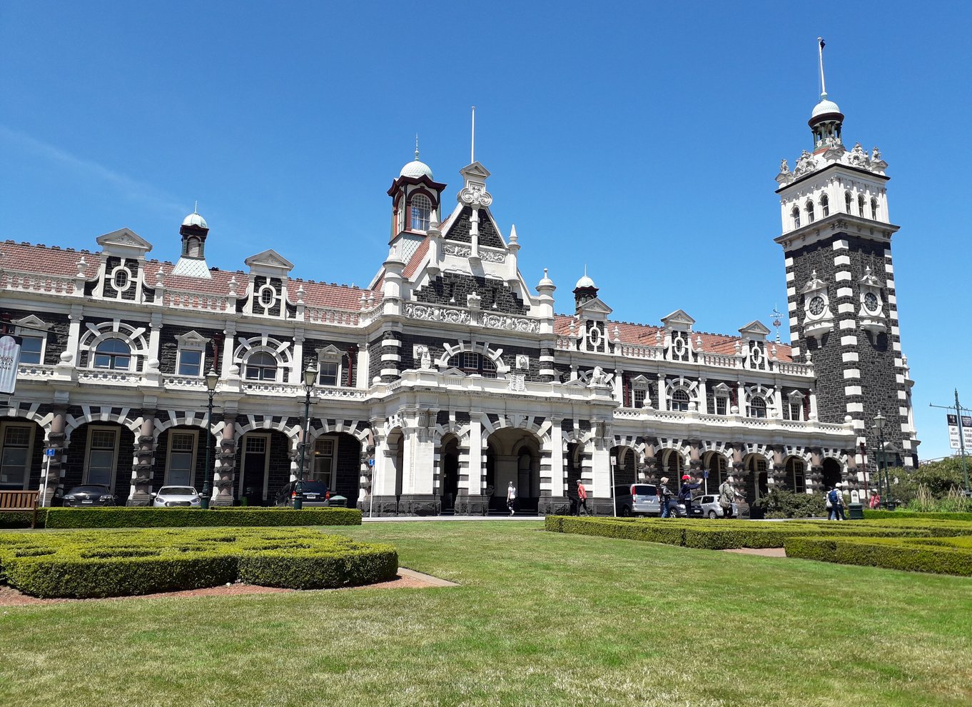 Fra Dunedin: By, Otago Peninsula & Albatross guidet tur