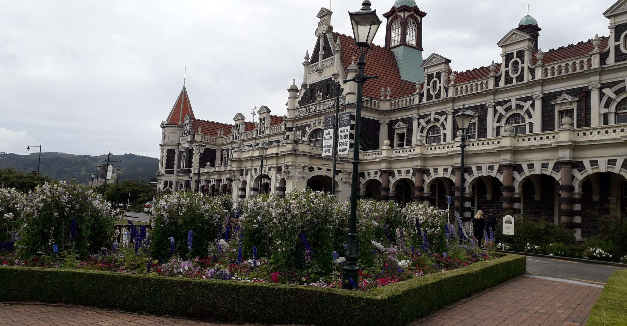 Dunedin, Péninsule d'Otago avec visite guidée du pingouin - Hizvo