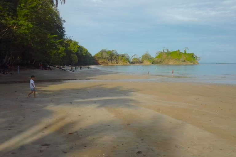 Playa Mantas: Tour guiado de mergulho com snorkel pela manhã perto da praia de JacóPraia Mantas: Tour guiado de mergulho com snorkel pela manhã perto da praia de Jacó