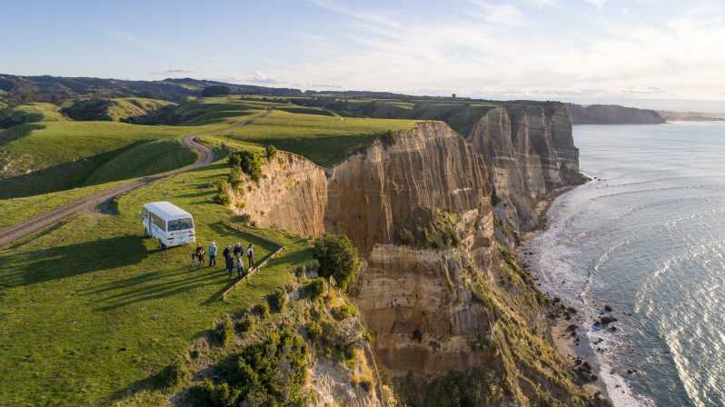 cape kidnappers tour
