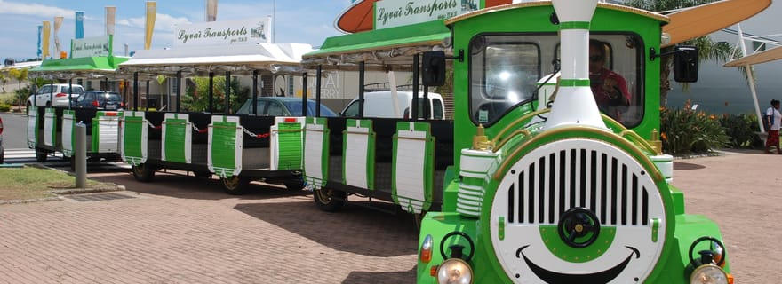 Célèbre circuit en train vert à Nouméa (1 h 30)