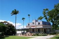Famous Local Green Train (01h30) in Nouméa - Housity