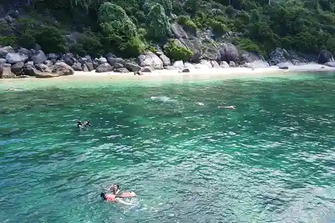 Isla Cham: tour de snorkel