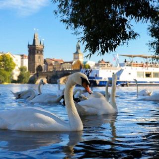 Praga: crucero turístico por el río Vltava
