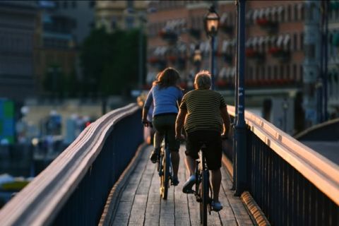 Stockholm: Top Highlights Bike Tour