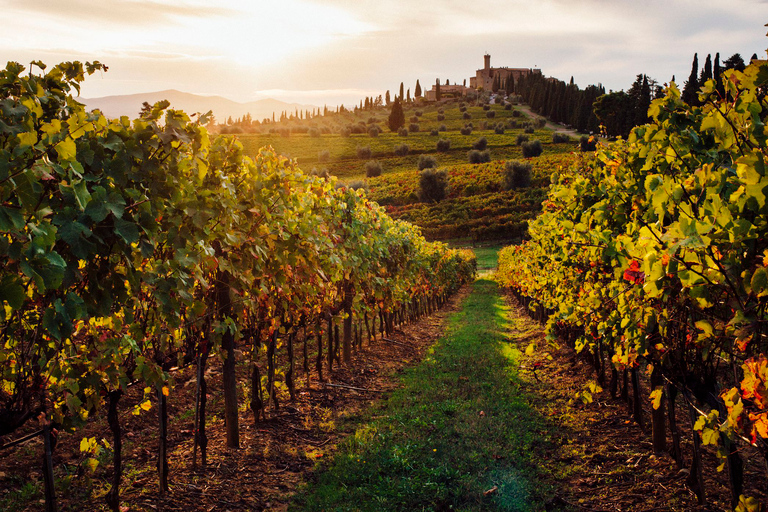 From Florence: The Best of Chianti